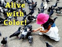 Alive_with_Color
